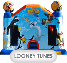 Looney Tunes Castle