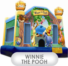 Winnie The Pooh Castle